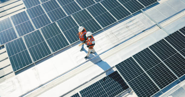 Best Skylight Installation and Repair  in Gentry, AR